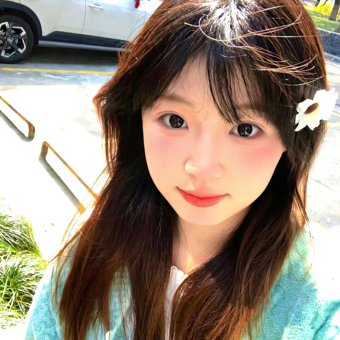 芭啦芭啦樱之花