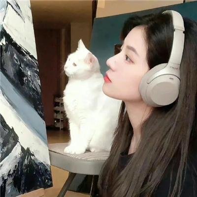 神秘使者:魔画疑云